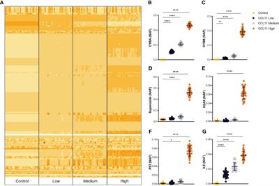 Eotaxin-1/CCL11 promotes cellular senescence in human-derived fibroblasts through pro-oxidant and pro-inflammatory pathways